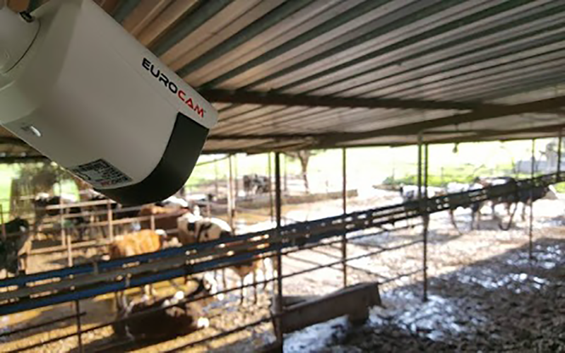 Çiftlikler ve Kent Dışındaki Evler İçin Güvenlik Önerileri